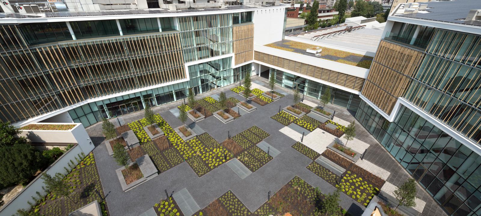 Walkways and planted Sedum beds create a pattern